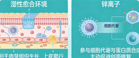 从共识到实践： 百克瑞®纱布创面敷料，为骨科手术部位感染管理提供新选择